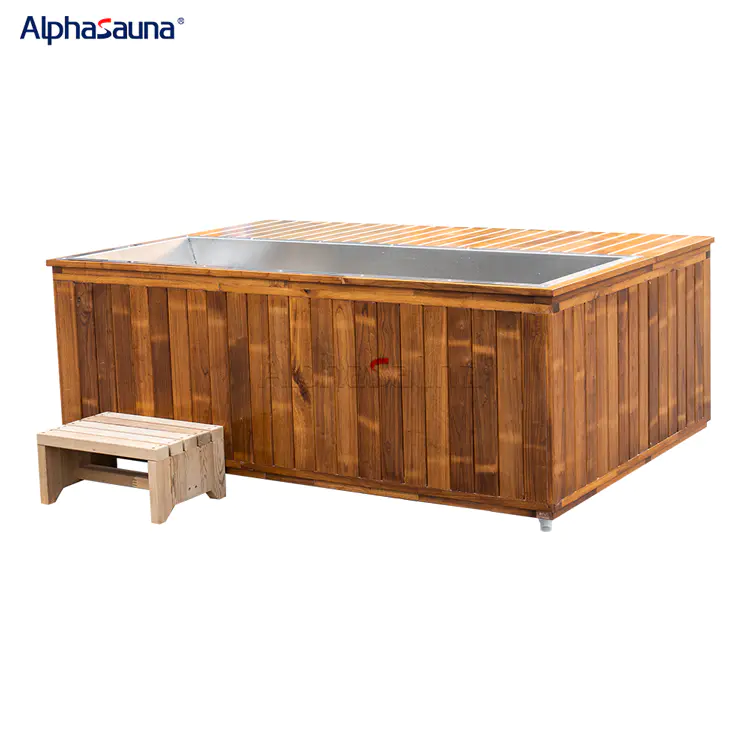 Cheap Home Ice Bath Japanese Cold Plunge Pool - Alphasauna