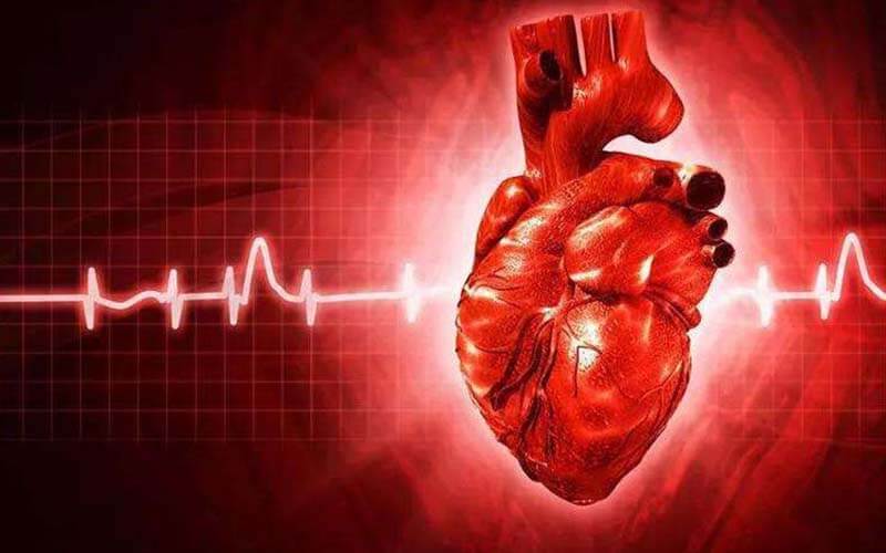 saunas_change_your_heart_rate_to_burn_calories-alphasauna