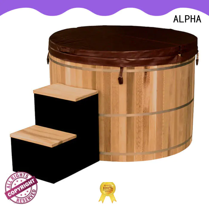 small hot tubs system for household ALPHA